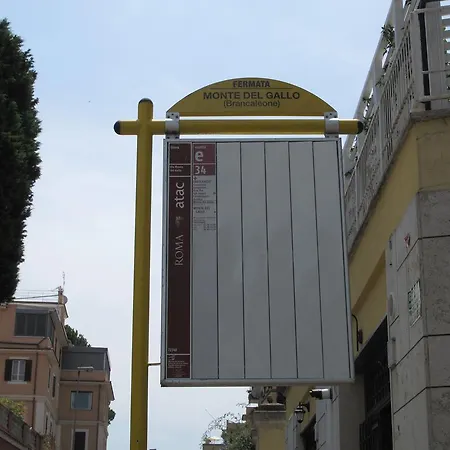 Ferrari Al Vaticano-2